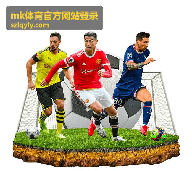 mk体育官方网站登录验证码与安全校验处理说明