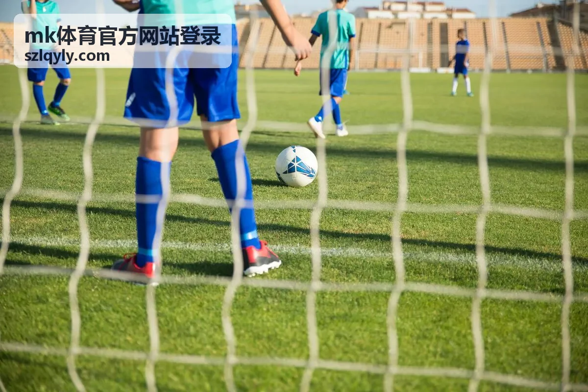 mk体育官方网站登录的浏览器与设备兼容说明
