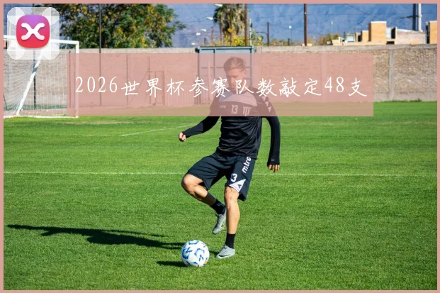 2026世界杯参赛队数敲定48支