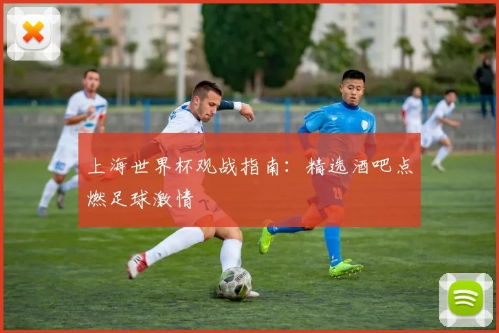 上海世界杯观战指南：精选酒吧点燃足球激情