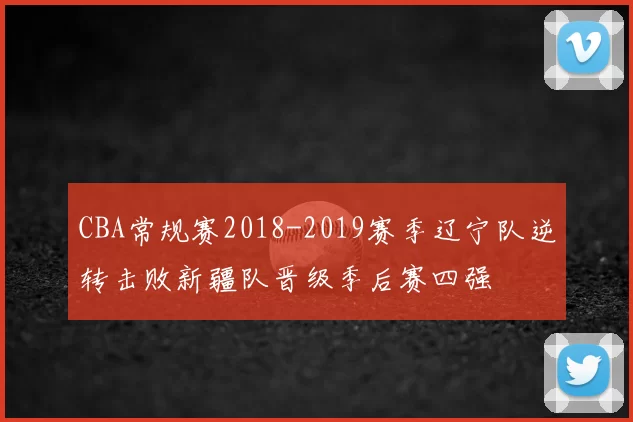 CBA常规赛2018-2019赛季辽宁队逆转击败新疆队晋级季后赛四强