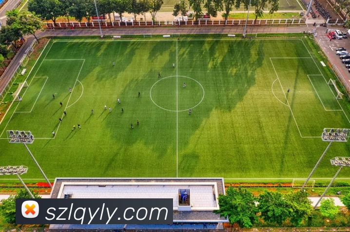 App Interface Preview