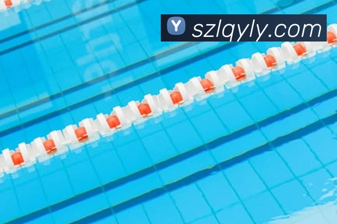 mksports体育赛事直播APP 封面图